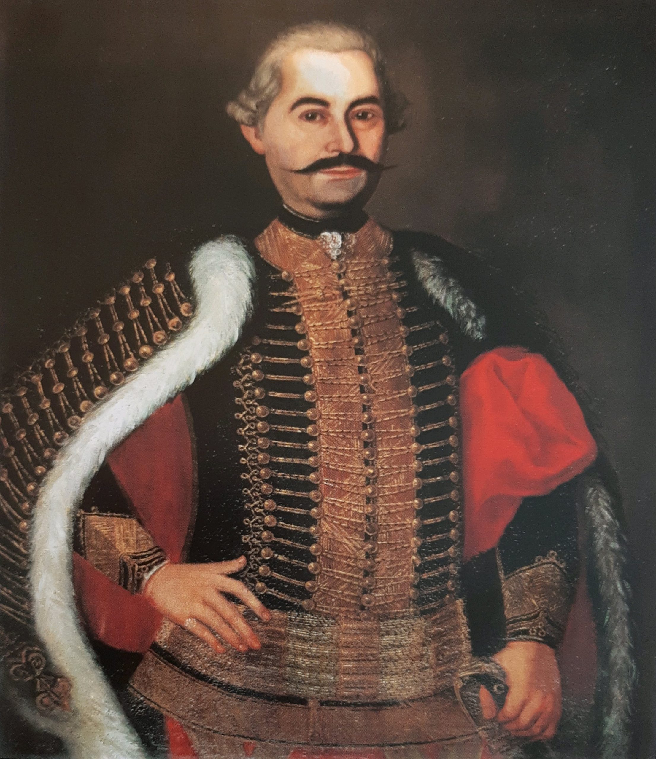 vitkovics sekula