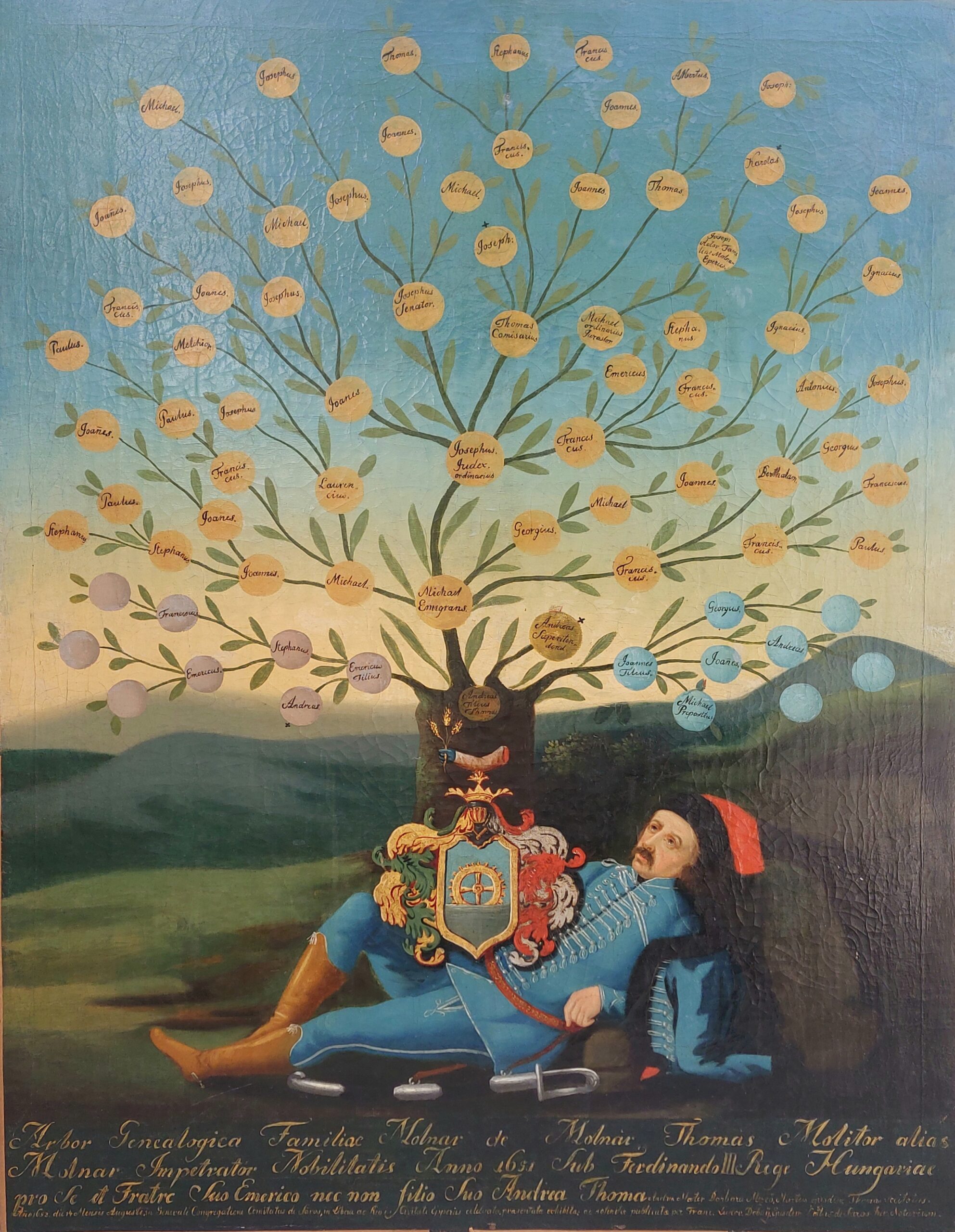 8370.molitor molnár tamás kép1 8370.molitor molnár tamás kép1